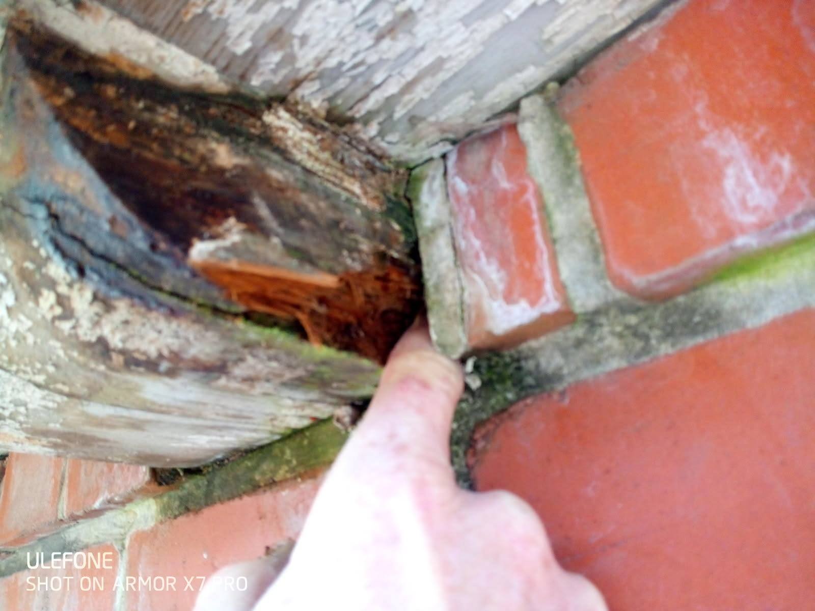 réparation bois façade