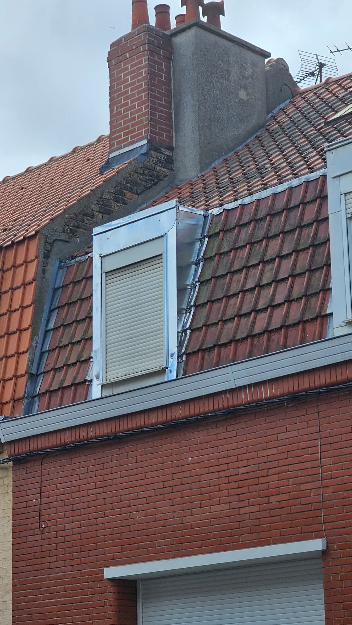 réfection chien assis zinc